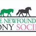 Newfoundland Pony Society (@nfld_pony) Twitter profile photo