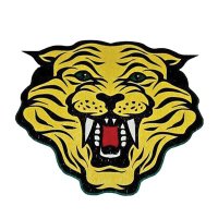 H.S. Thompson STEAM Academy (@hsthompsonstea1) 's Twitter Profile