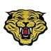 H.S. Thompson STEAM Academy (@hsthompsonstea1) Twitter profile photo H.S. Thompson STEAM Academy (@hsthompsonstea1) Twitter profile photo
