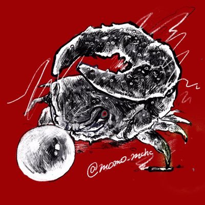 momojya❦🦀さんのプロフィール画像