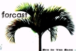 Forcast is a reggae/ska/rock band from Victoria BC
Kai Simpson, Mac Hustins, Skyler May, Brennan Doyle, Trevor Kidd