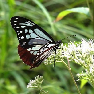 茨城(県南)に住むシングルママン&小1ﾑｯｽｺ親子です。 息子とのんびり暮ら…したいけど気持ちと時間の余裕が持てないドタバタな毎日を過ごしています。 無言でぬるりとフォローします。良かったら仲良くしてください😊🎵