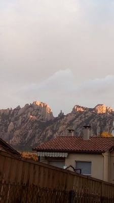 Joan_electronic's profile picture. 