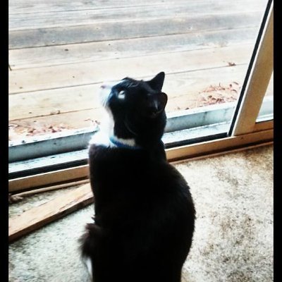 BostonTech3's profile picture. Muscle an fitness is my life style with writing product an service reviews in my free time.