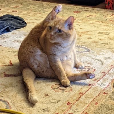 PersonVoodoo's profile picture. hi I do voodoo