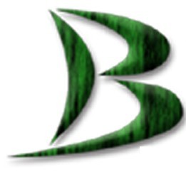 BLawnService's profile picture. We strive to achieve customer satisfaction and premium results. Our professionals use the finest products and equipment to ensure the most optimal service.