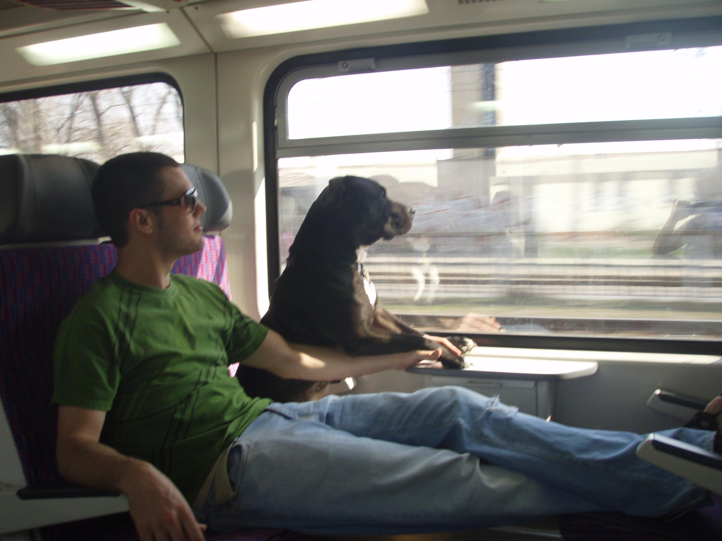 pittbulldaddy's profile picture. world traveler, also pitbull owner/lover/advocate!
My wife is #Czech and loves to cook; I had her put the #recipes online to share with the world! #enjoy