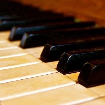 treepiano's profile picture. ピアノが大好き🌙🌴🔥🌋Hawaii🌴🦜🌙moon🌕⛲️🥥🔥🦕🌏🍉🥑🥝🍸🫧🛀🚿⭐️🪔   Enthusiast of colored light projection  ※with 0 power consumption