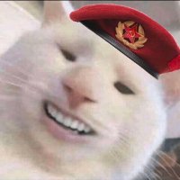 jaga (@jarobean) 's Twitter Profile