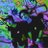 sho_5go5's profile image