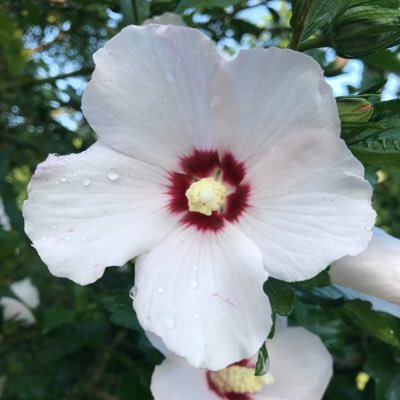 OsborneKristy's profile picture. Pride Cometh Before The Fall