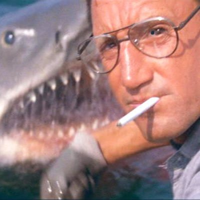 small_thefts's profile picture. destroy the machines of permitted consumption