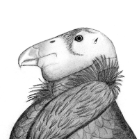 HTCondor (@htcondor) 's Twitter Profile