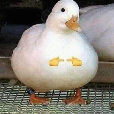 rubulump's profile picture. a