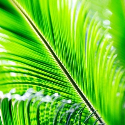 chloejeremy27's profile picture. 