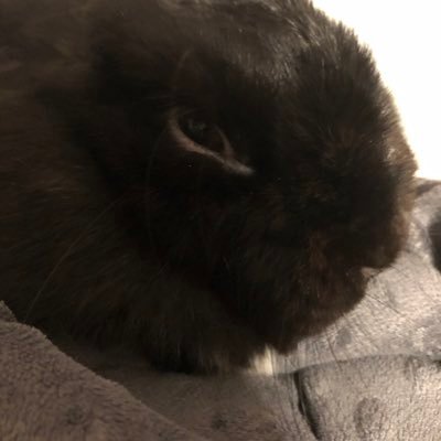 Nichola40423184's profile picture. 