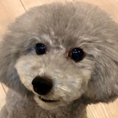 ABC_vmoe's profile picture. 