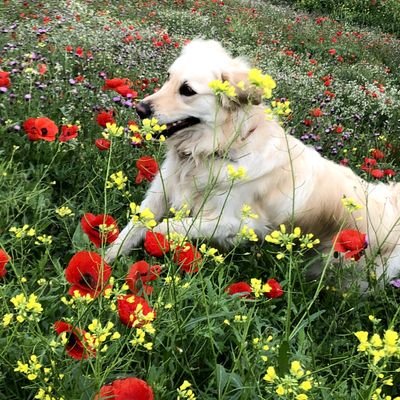 Esther_Juste's profile picture. Logopeda en HIUNJ