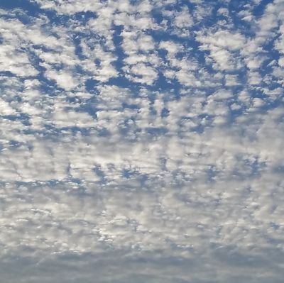 割れ爪（われづめ）。さんのプロフィール画像