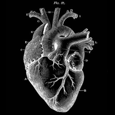 HumExLabs's profile picture. Music | Technology | Wellness
Multi-sensory, bio-intelligent music protocols and experiences.
Contact: darin@humanexploratorium.com
https://t.co/A1A5ws9RlO