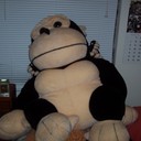 Mike Tisdale - @mike500xblue - Twitter