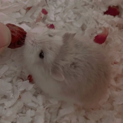 💗베키💗さんのプロフィール画像