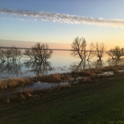 FenlandOf's profile picture. A hard working, fun and friendly local FOE group campaigning on environmental issues and to ensure a sustainable future by addressing nature and climate crisis!