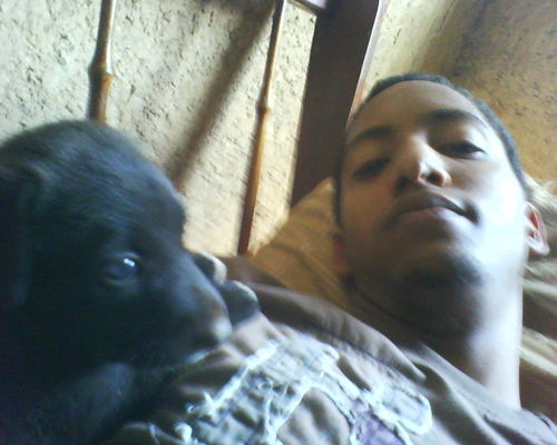 FOXDE's profile picture. 