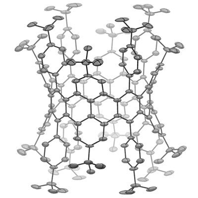 Buckling up carbon nanobelts on a tropical island @CChiGroup. FDU & NUS.