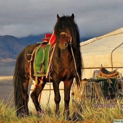 gtugs76's profile picture.