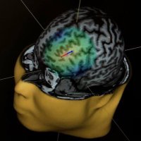 Frank F. Zhu, PhD (@ffzhu_hk) 's Twitter Profile