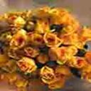 Dawn Lieberman - @LiebermanDawn - Twitter