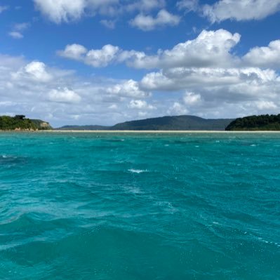 Voz20d3RTpcKSTk's profile picture. ps4、Switch(元iPad)アラサー。