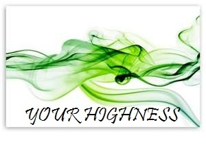 highnessbeats's profile picture. mc,producer from stephenville newfoundland