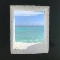Mathus Dracci (@mdracci) 's Twitter Profile