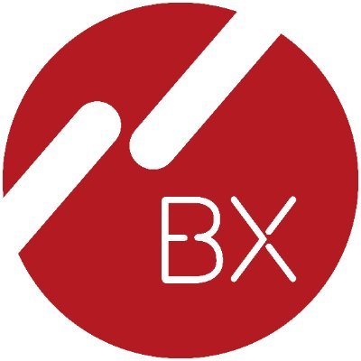 BX Swiss Profile