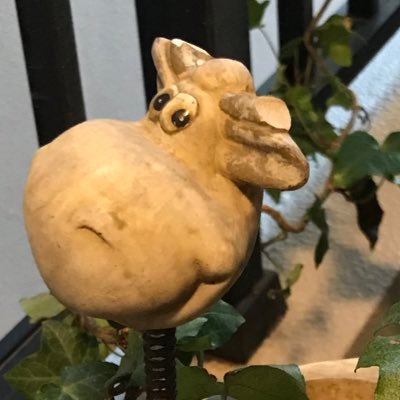 白い部屋さんのプロフィール画像