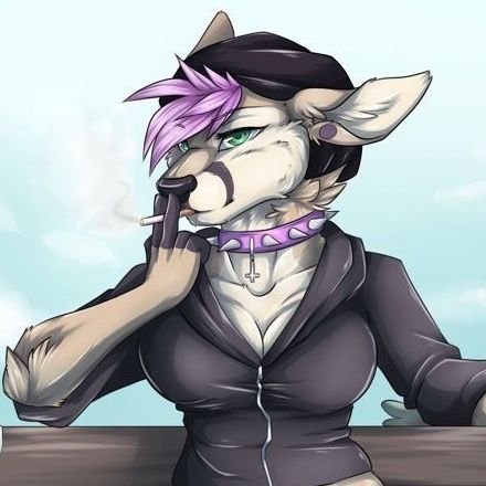 I'm a Sona hoarder and non binery. 21 years old. pansexual.
