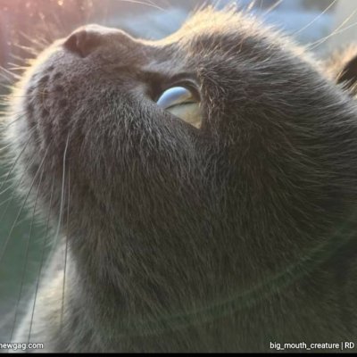 DeviraShinri's profile picture. This is me .. I like walking in the *rain*.. Because then no one knows i'm crying .. :'(   Sesuatu yg berharga tak akan pernah lebih berharga dari pada jiwa ..