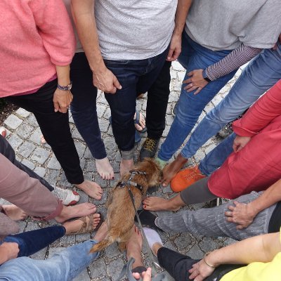 The Liberating Network is a flexible & growing collective of dedicated practitioners of #LiberatingStructures.
#LiberatingStructures #rhizome #collaboration