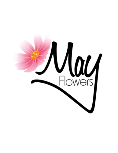 mayflowersblog's profile picture. Travel Writer/Journalist/Ghost Writer/Blogger/Flight Attendant/Editor/Marketing Guru