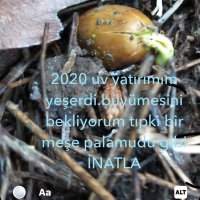 Cengiz saman💊💊💉💉💉🌡🌡 (@hem_cov21) Twitter profile photo