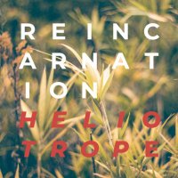 heliotrope (@heliotrope_03) 's Twitter Profile Photo heliotrope (@heliotrope_03) 's Twitter Profile Photo