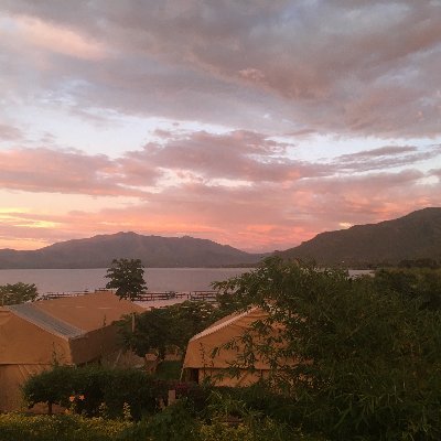 JosephRollason's profile picture. 