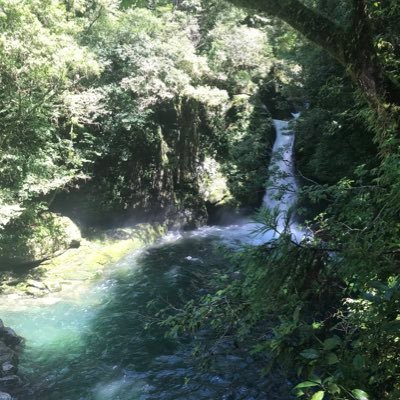 OpErtcYs22Sjmz6's profile picture. 