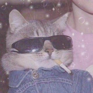 | фем | шары | mcr | nirvana | tøp |
я чайник, который не умеет читать.