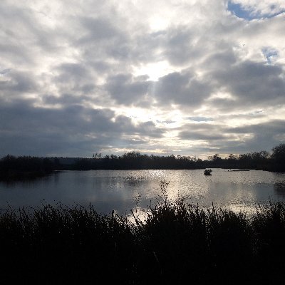 froosh282's profile picture. 