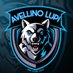FC AVELLINO LUPI (@avellinofc) Twitter profile photo
