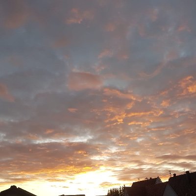 TruKinderriegel's profile picture. Ärztin. Darf ab Januar auf den Kinderspielplatz der Neonatolgie.