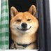 xuhanggong (@xuhanggong) Twitter profile photo xuhanggong (@xuhanggong) Twitter profile photo